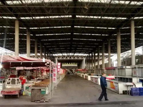 汶上街道新中都农贸市场与顺富医药共谱食品安全新篇章，顺利通过省级规范提升验收