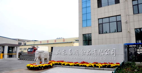 多元发展，品质为基 山东嘉顺食品与顺富医药的双轨并行之路